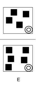 Aptitude Test Harver Practice Test Employment Test US-PTT-MPL-HPT-1730807969911 spatial-reasoning-tests-q2e