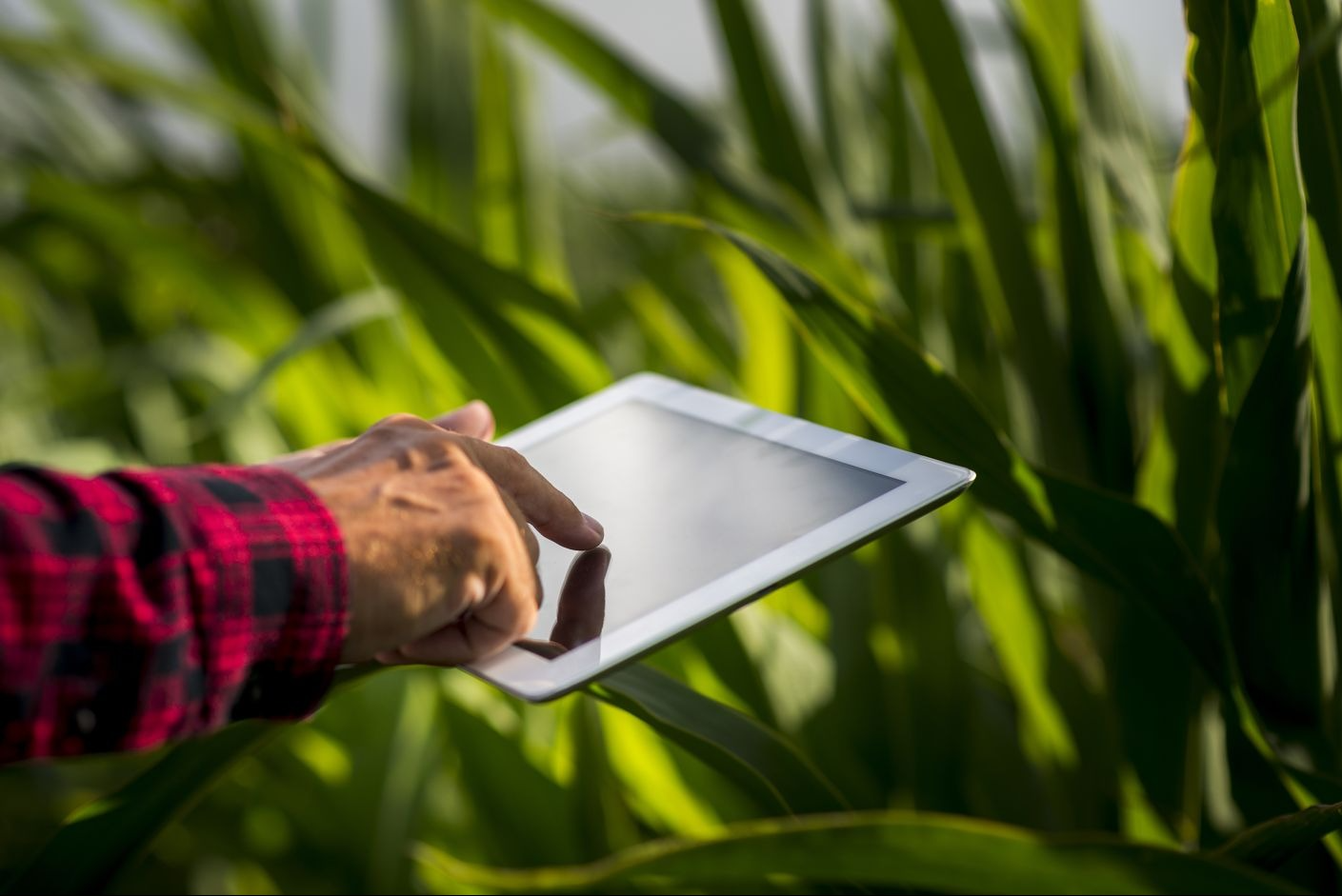 Agricultural Equipment Technician Exam: Tips to ace it and boost your career in Canada