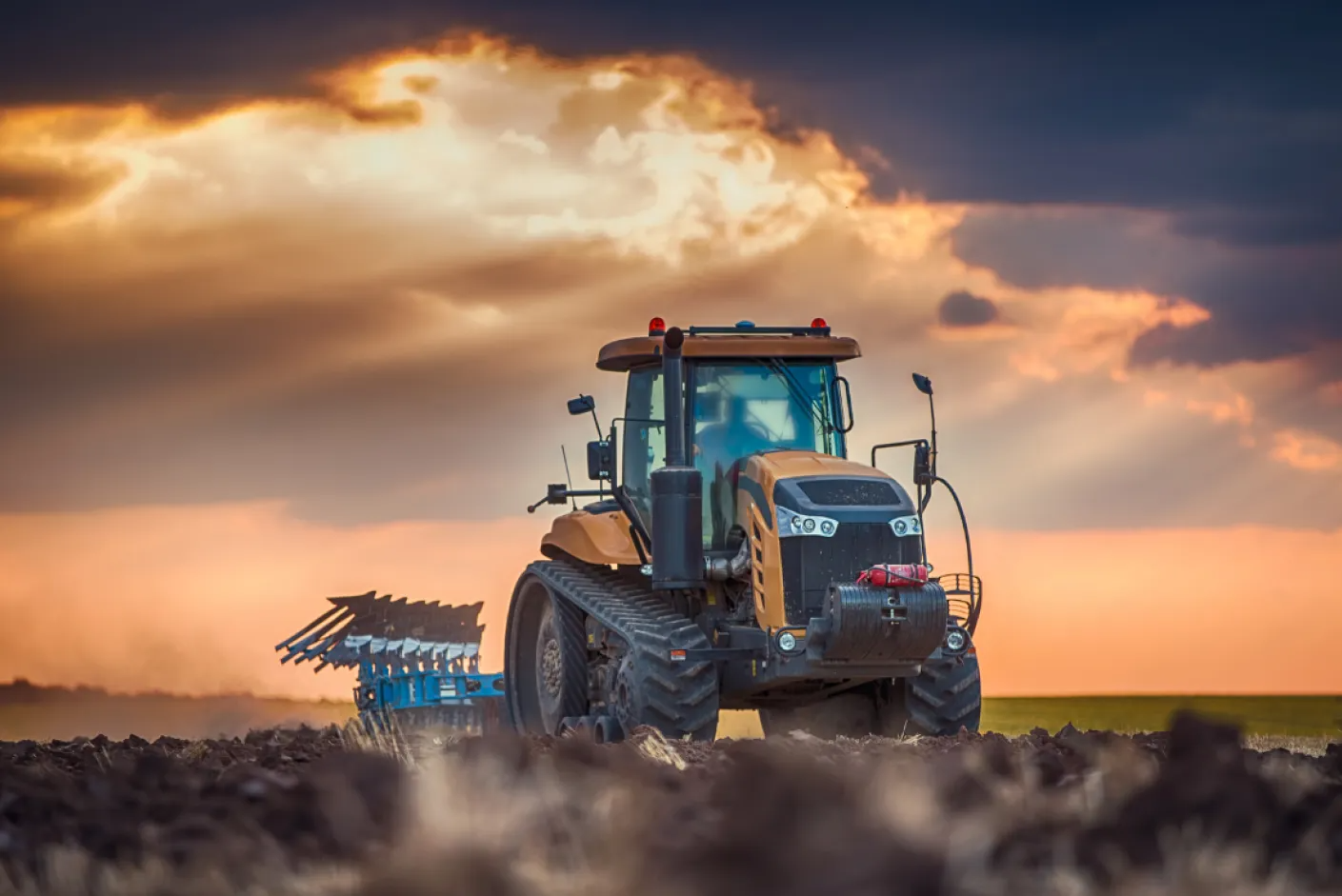 "**quiz Concorso ministero agricoltura**": Preparati con i migliori materiali di studio per il test